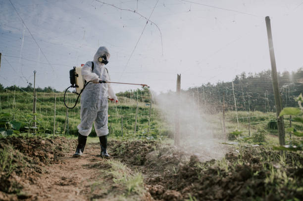 Best Affordable Pest Control Services  in Almont, MI