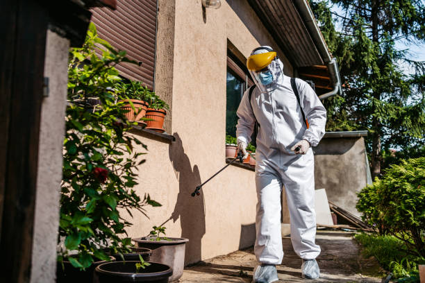 Best Mosquito Control Services  in Almont, MI