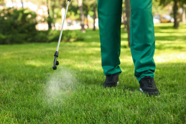 Best Cockroach Control Services  in Almont, MI