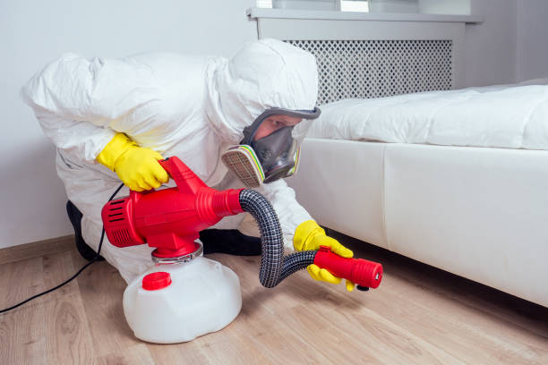 Best Pest Inspection Near Me  in Almont, MI