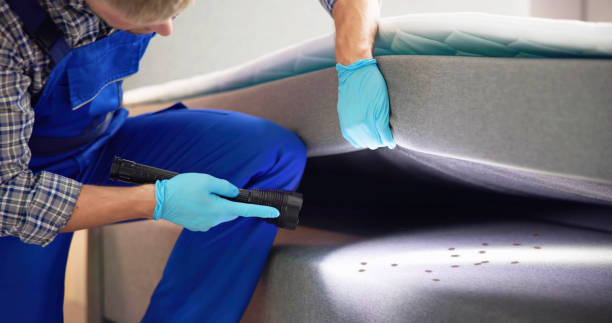 Reliable Almont, MI Pest Control Solutions
