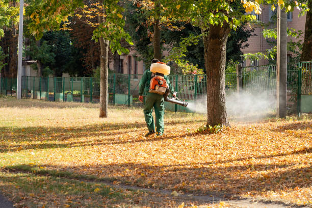 Best Pest Control for Homes  in Almont, MI
