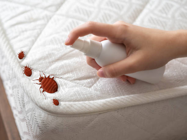 Best Best Pest Control Companies  in Almont, MI