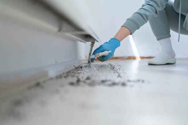 Best Pest Control Near Me  in Almont, MI