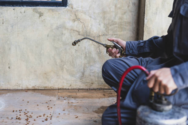 Best Residential Pest Control  in Almont, MI